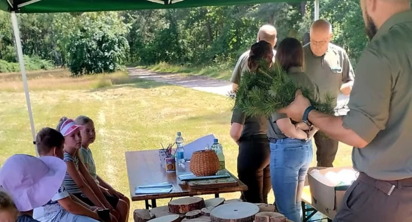 Warsztaty z wołowskim nadleśnictwem 