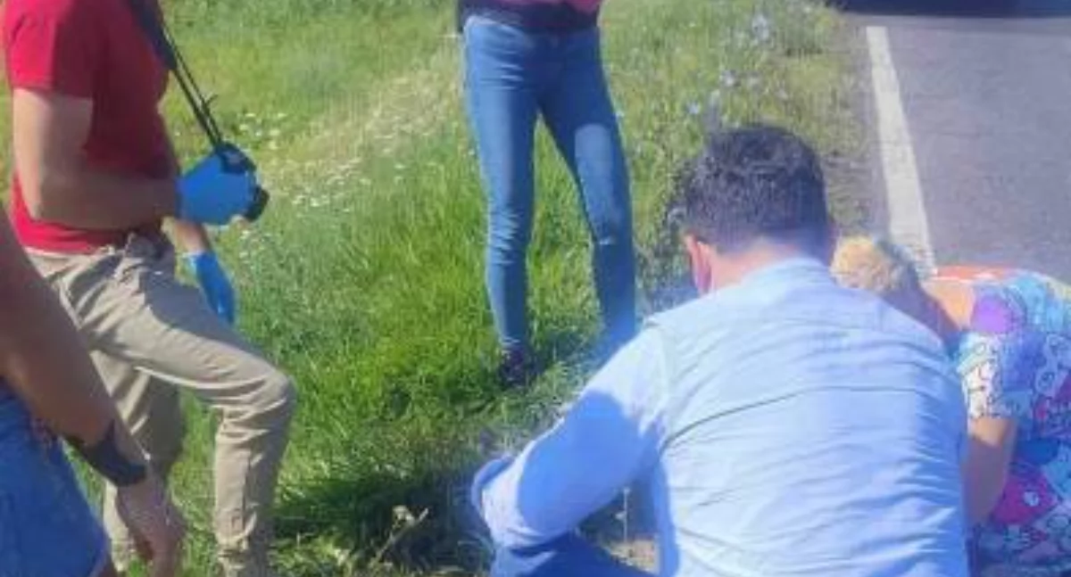 Nie żyją dwa pieski. Poszukowani świadkowie