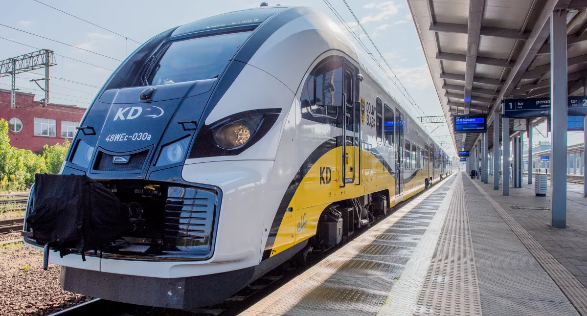 Długi weekend z pociągami Kolei Dolnośląskich. Podróże przez 5 dni na Dolnym Śląsku na jednym bilecie za 59 zł i wycieczka nad morze