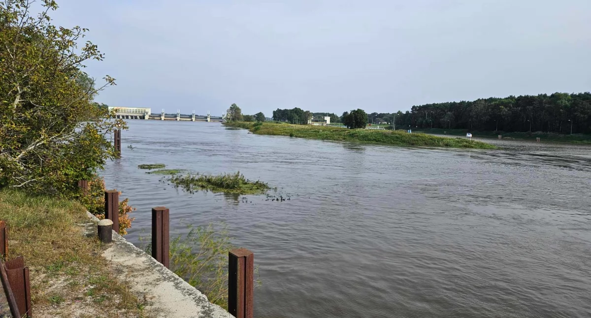 Prognozy dla Brzegu Dolnego na najbliższe dni