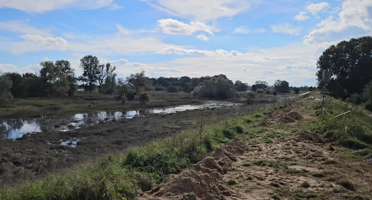 Odra wraca do swojego koryta
