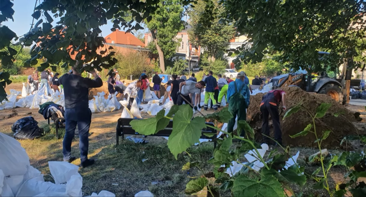 Pomoc dla bezrobotnych i przedsiębiorców po powodzi – co oferuje Urząd Pracy?