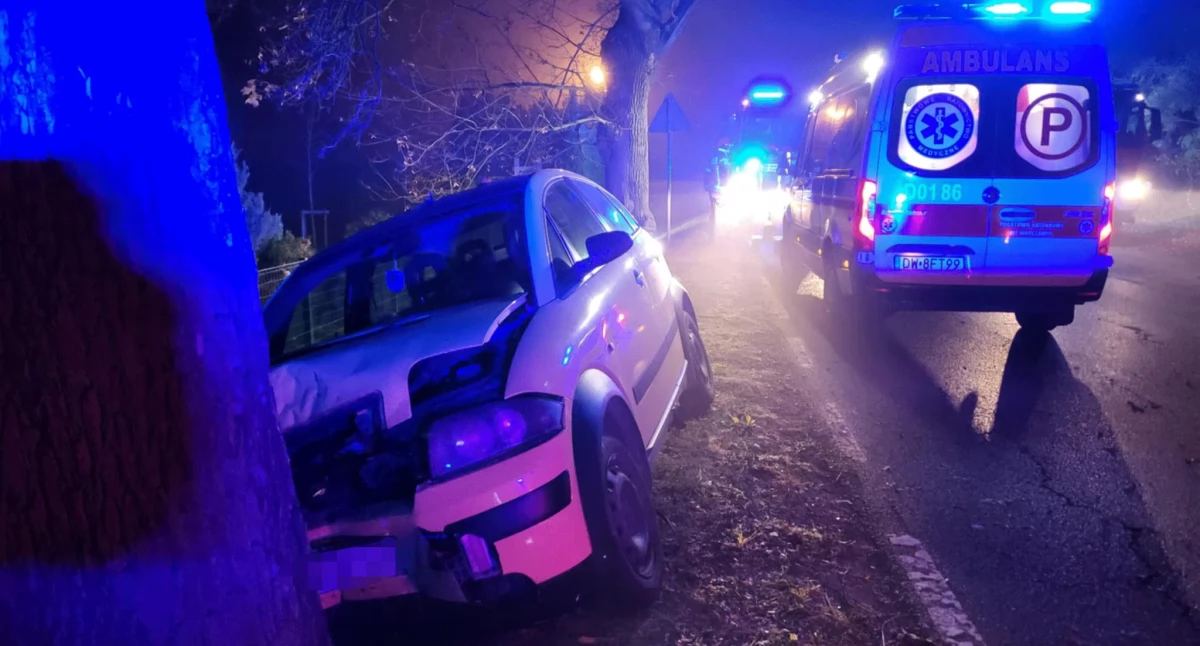Samochód uderzył w drzewo. Jedna osoba została ranna