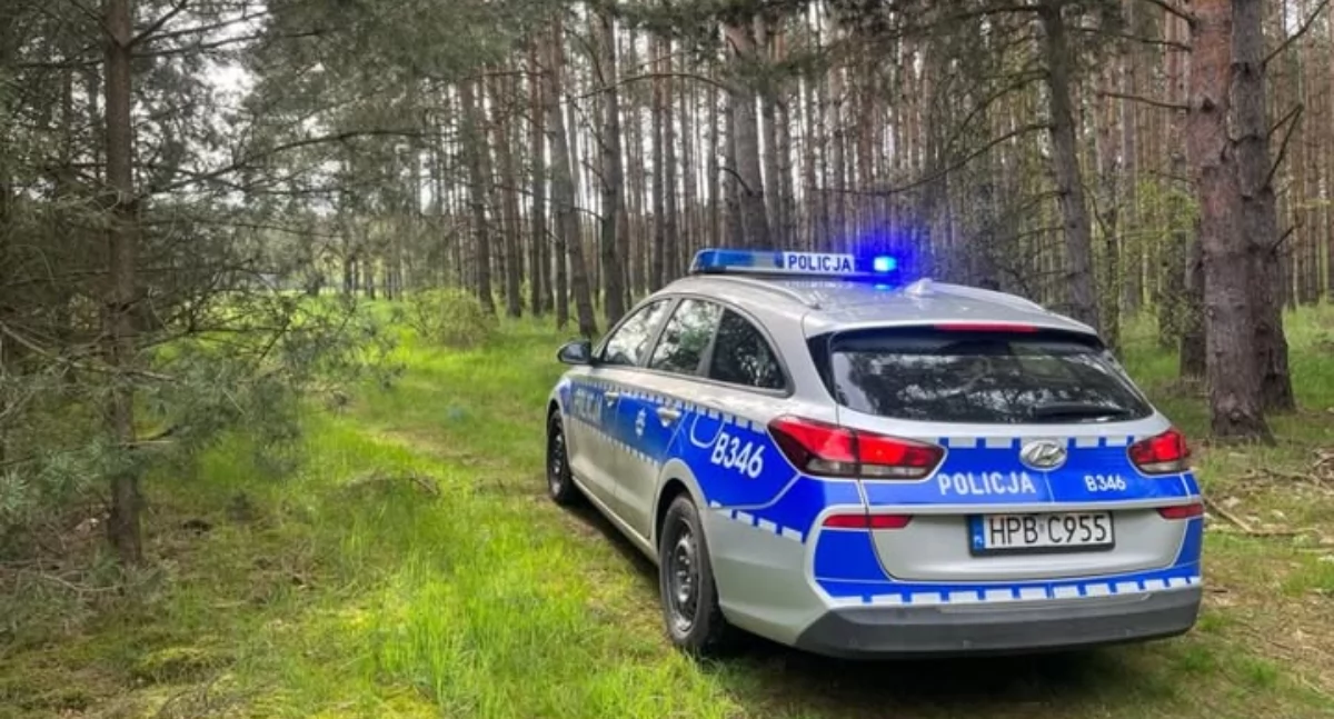 Akcja STROISZ w naszych lasach