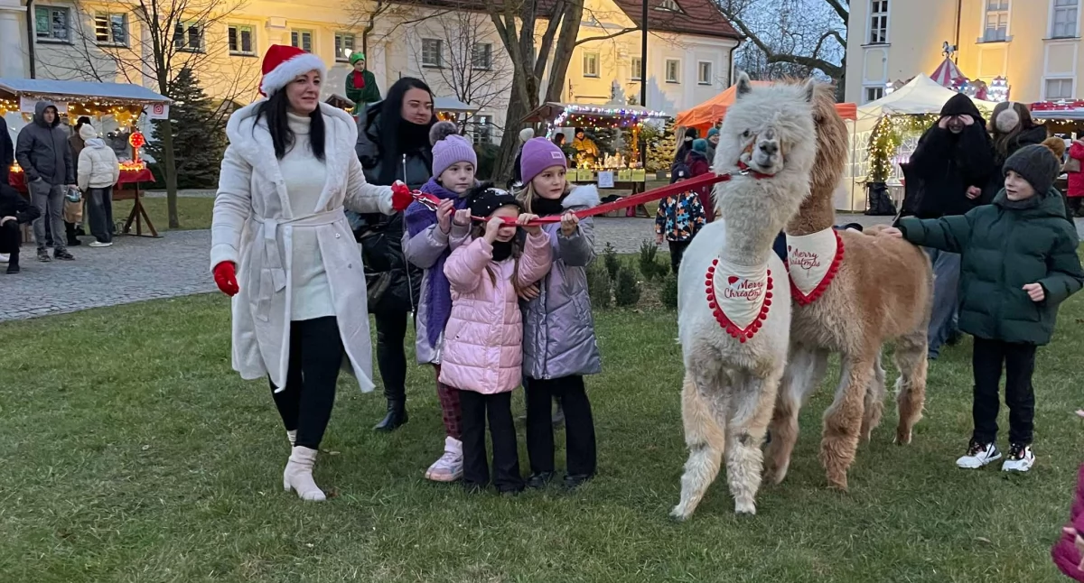 [ZDJĘCIA] Trwa świąteczne spotkanie w Brzegu Dolnym