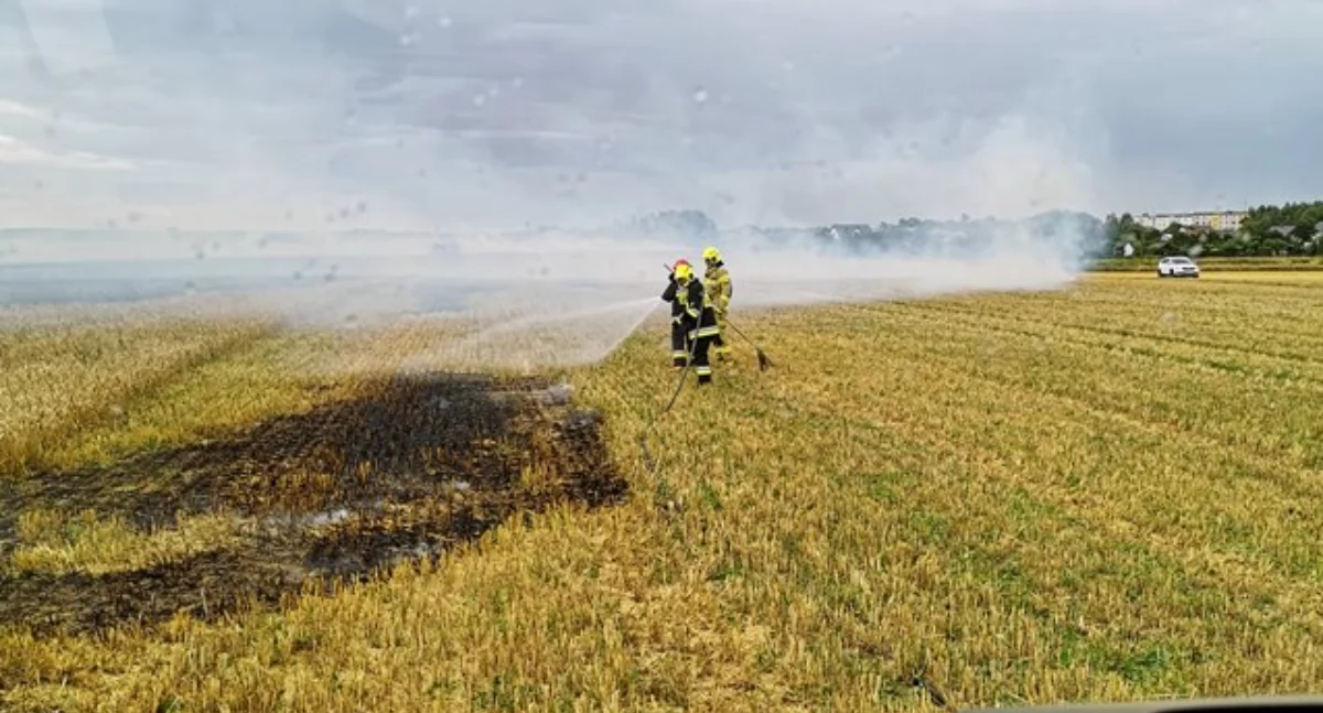 Wczesną wiosną strażacy walczą z wypalaniem trawy