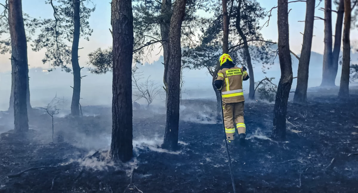 Pożar trawy i lasku w Bukowicach – strażacy apelują o rozwagę!