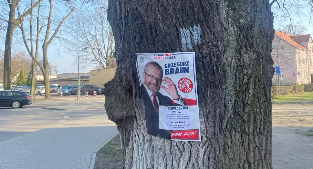 Grzegorz Braun odwiedzi Wołów w ramach kampanii prezydenckiej 