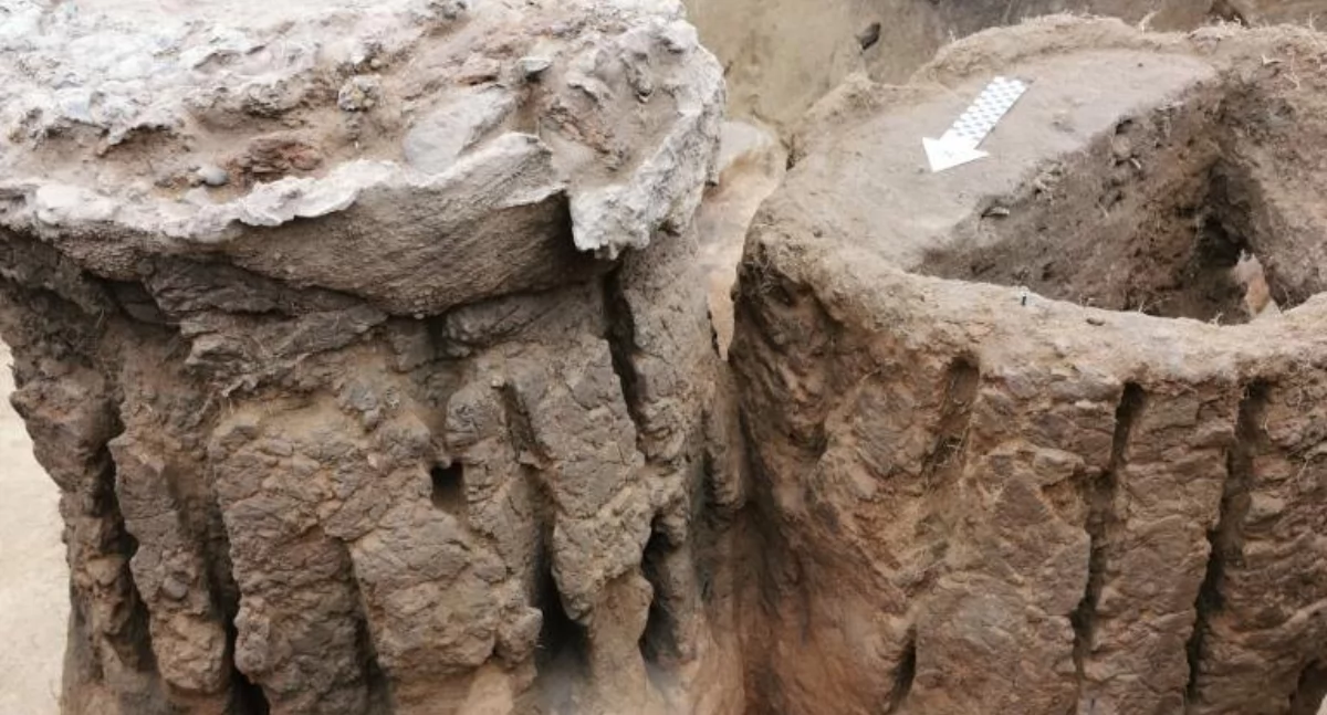 Nowe odkrycie archeologiczne w Domaszkowie! Osada hutnicza sprzed 2000 lat zachwyca badaczy