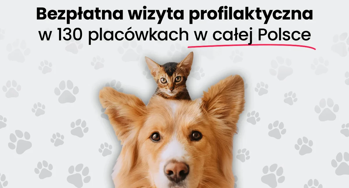 Rusza IV edycja Ogólnopolskiego Przeglądu Zdrowia Psów i Kotów – Pomagam.pl partnerem akcji!