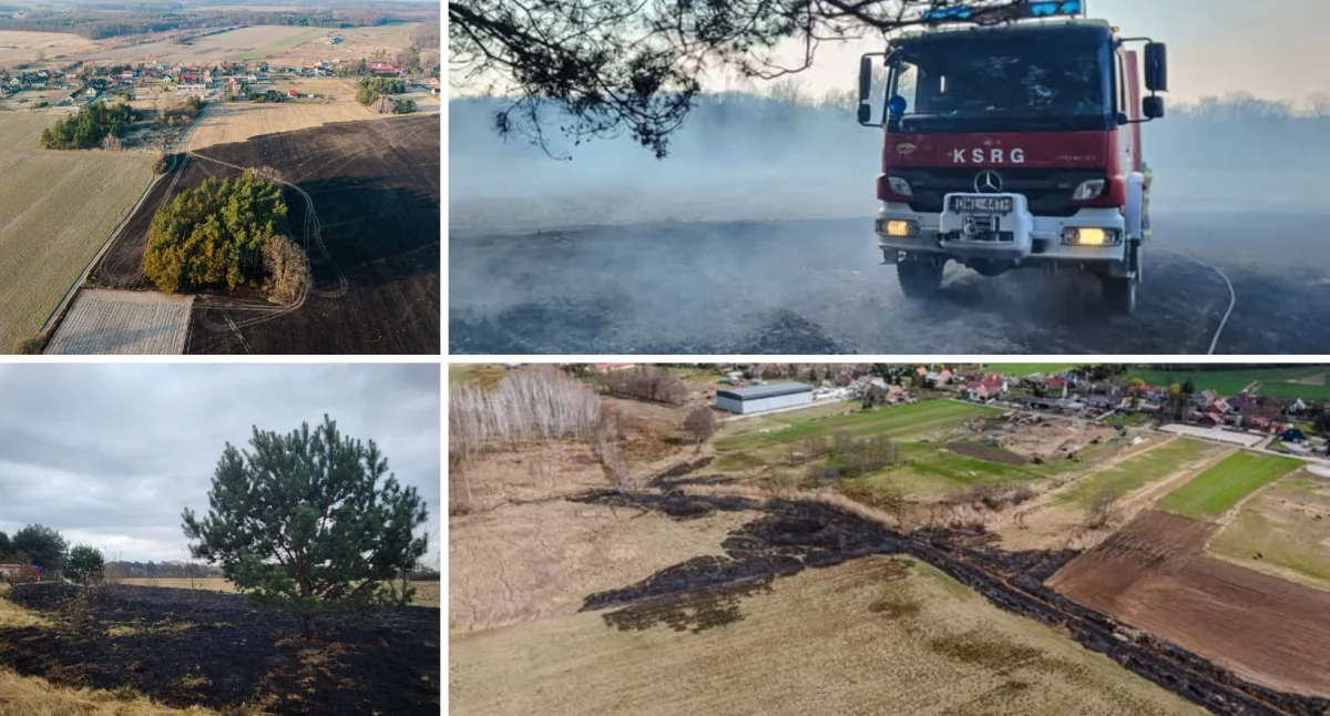 Płonie powiat wołowski! Ile jeszcze razy strażacy muszą ostrzegać?