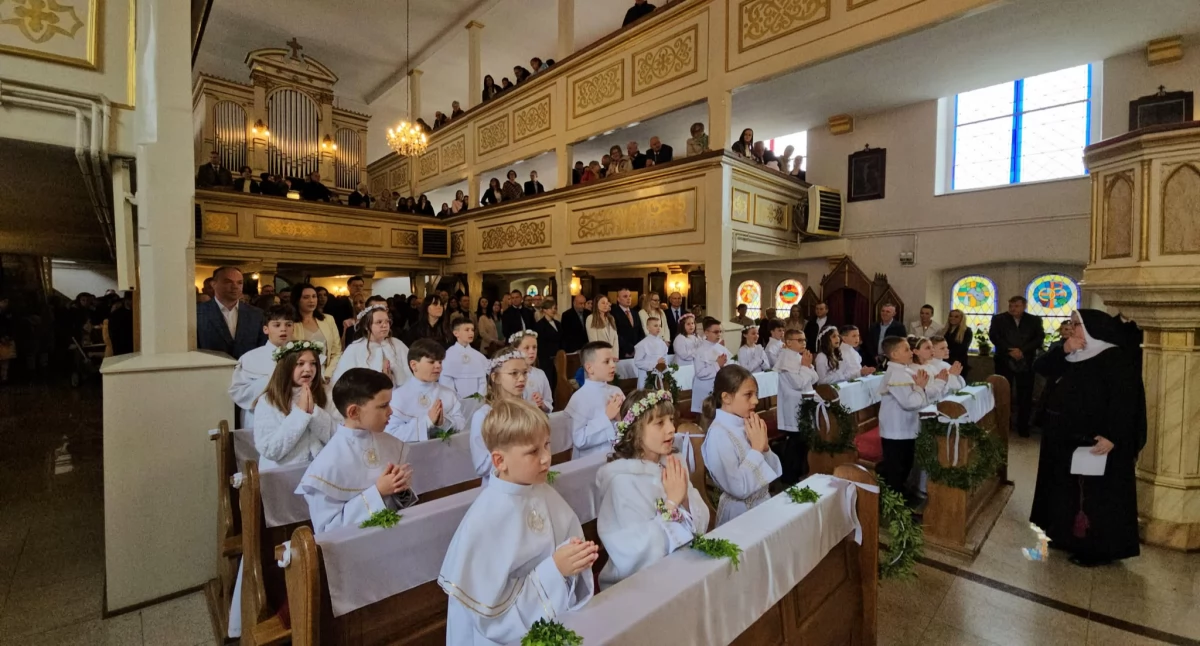[FOTO] Pierwsza Komunia Święta w parafii NMP z Góry Karmel w Brzegu Dolnym