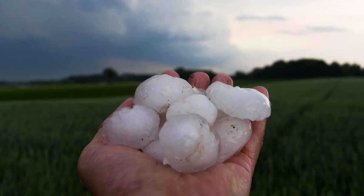 Ruszył nabór wniosków o oszacowanie strat po gradobiciu i nawalnym deszczu