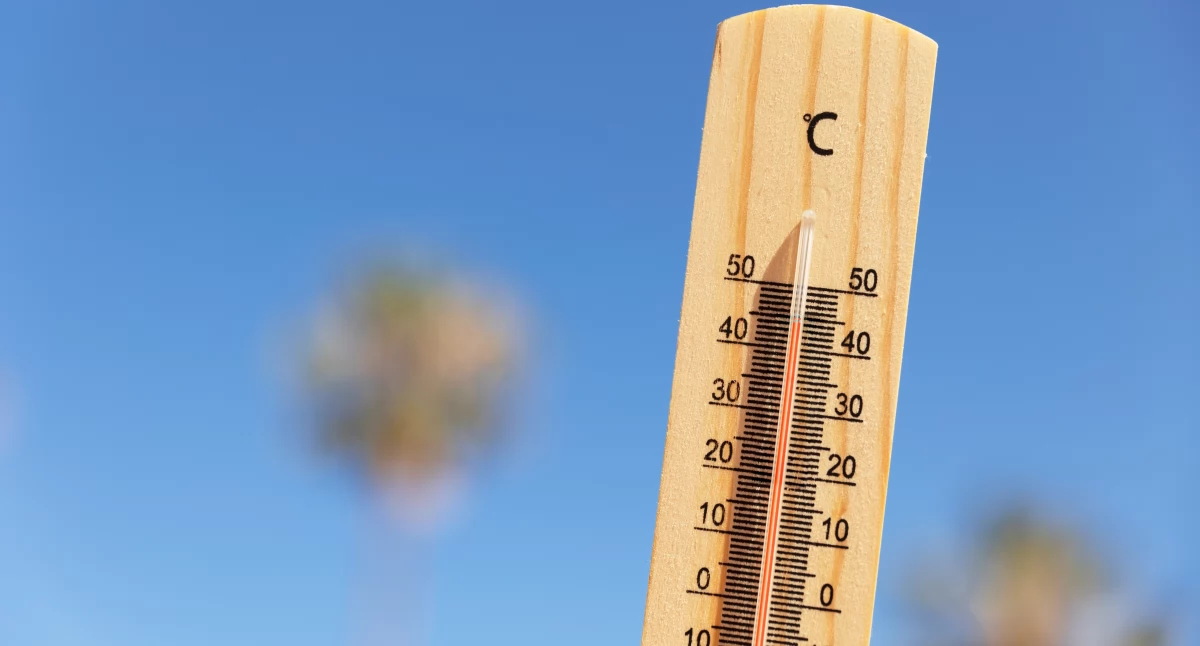 Uwaga mieszkańcy powiatu wołowskiego! Ostrzeżenie przed upałem – nawet do 31°C