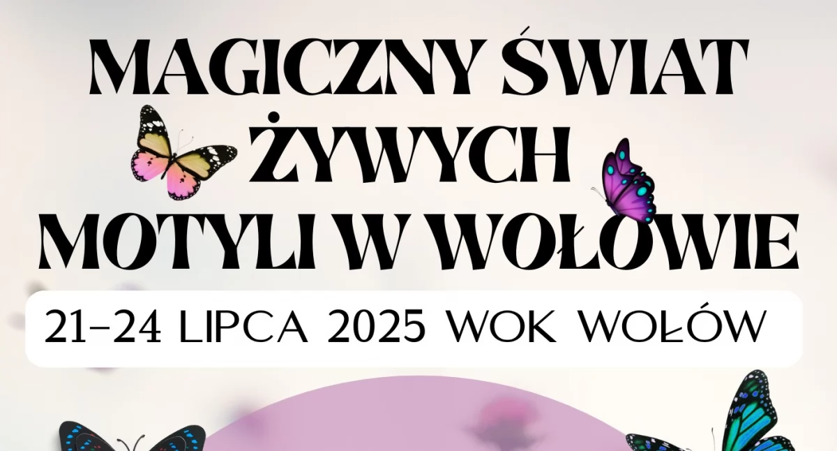 Bajeczna Wystawa Żywych Motyli w Wołowie – poczuj magię tropików!
