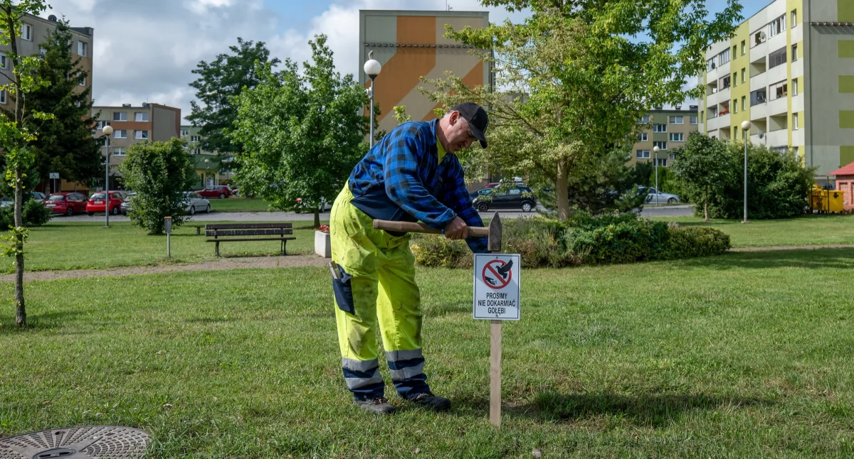 Tabliczki przy placu zabaw na Warzyniu. ZGK Brzeg Dolny apeluje: nie dokarmiajmy gołębi