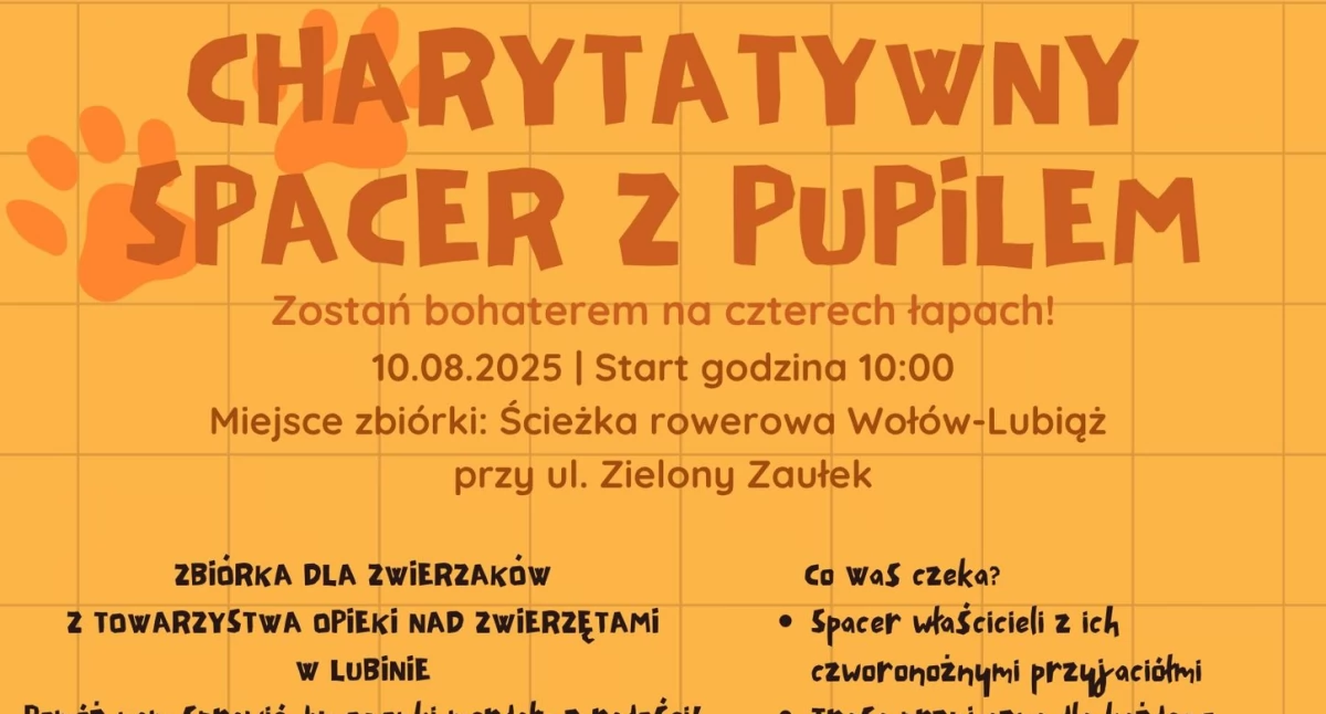 Charytatywny spacer z pupilem – dołącz i pomóż zwierzakom!