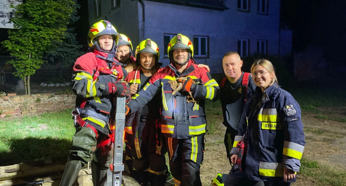 Nocna akcja OSP Lubiąż: uratowali kotka z 7-metrowej studni