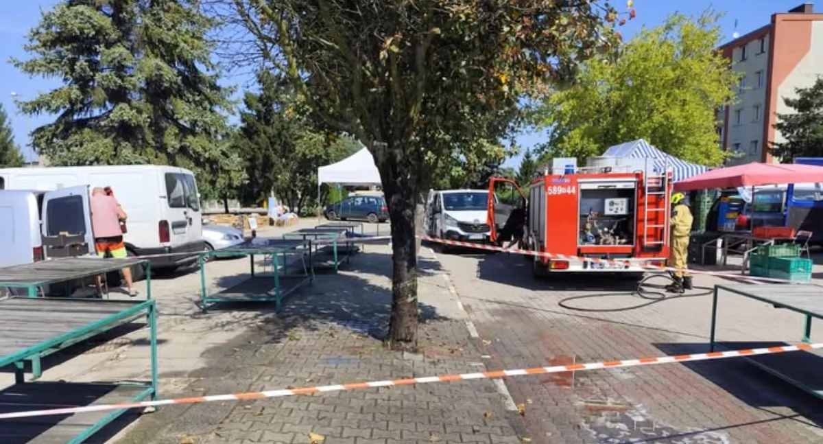 Szerszenie na targowisku w Brzegu Dolnym. Interwencja strażaków OSP