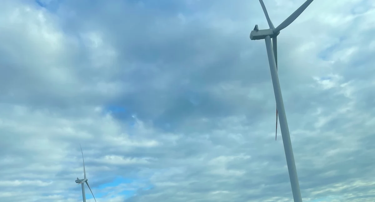 Prezydent zawetował ustawę wiatrakową. Brzeg Dolny i Wołów wycofały się z planów – w Potęgowie żyją z energii wiatru