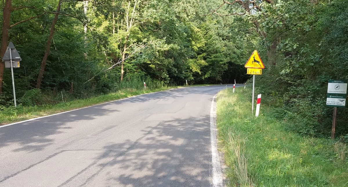  Lasy Państwowe wywiozły w zeszłym roku z lasów 820 tirów śmieci. Kosztowało to 34 mln zł
