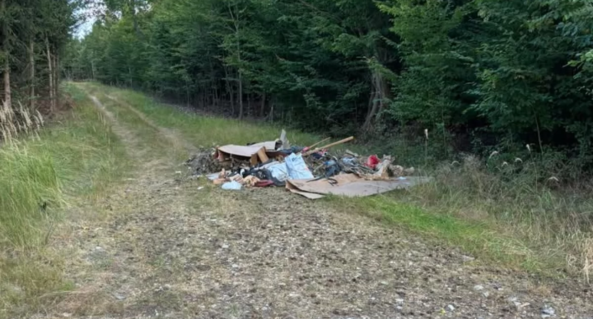 Śmieci w lesie pod Rudnem. Czytelnicy alarmują
