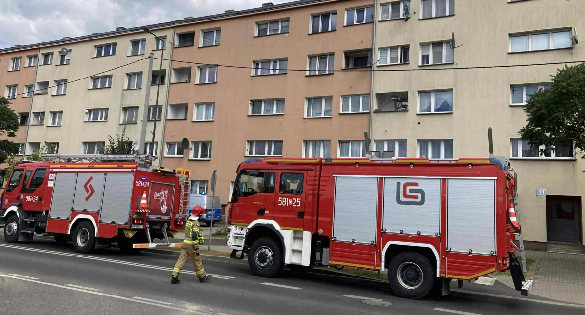 Strażacy i policja prowadzą działania przy ul. Poznańskiej w Wołowie
