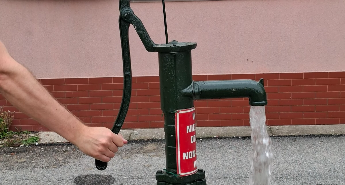 Abisynki wracają do życia w Wińsku