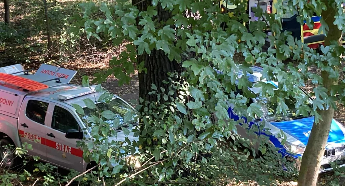 Akcja policji, straży pożarnej przy moście kolejowym w Brzegu Dolnym 