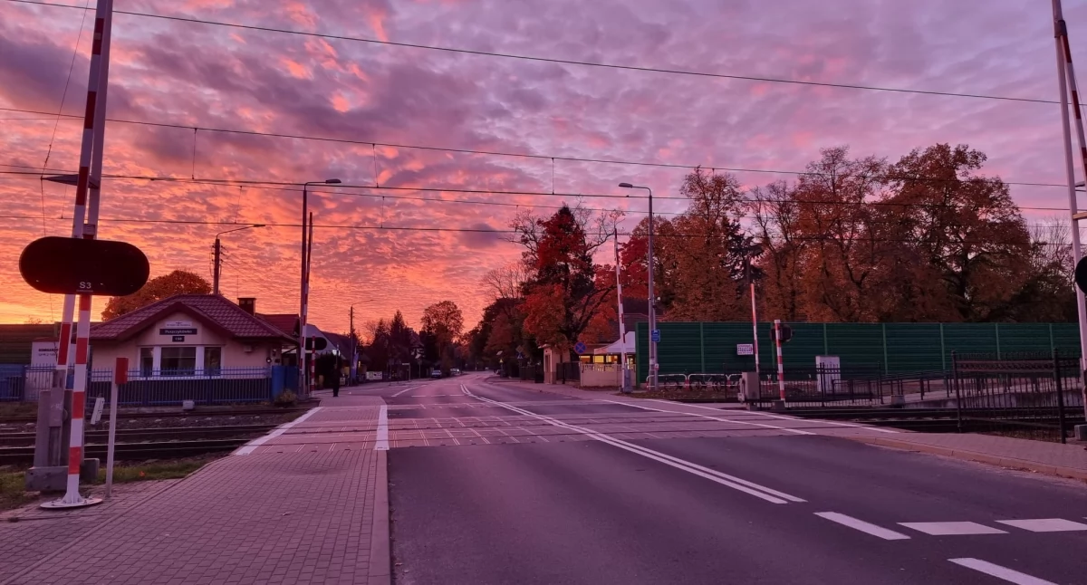 Nadchodzi arktyczne powietrze. Przymrozki wracają do Polski – nawet poniżej zera przy gruncie