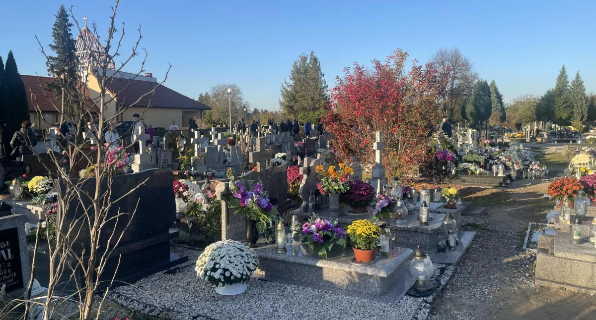 Ile kosztuje sprzątanie grobów? Sprawdziliśmy oferty dostępne dla mieszkańców powiatu wołowskiego