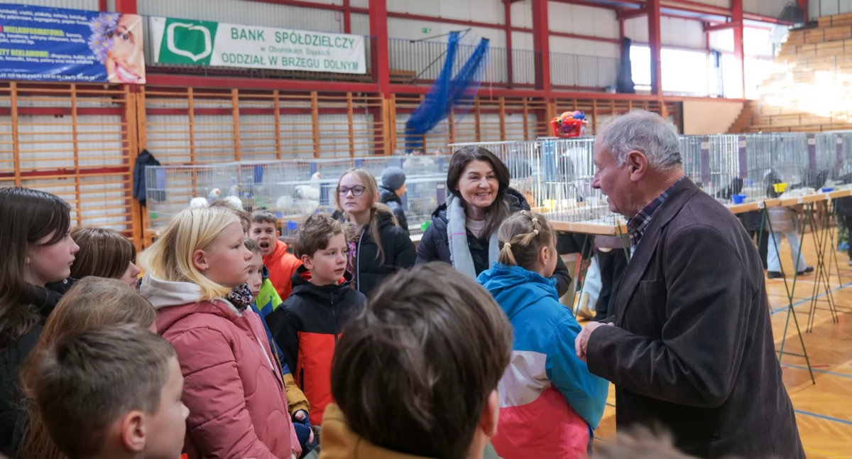 W Brzegu Dolnym trwa XXXIII Regionalna Wystawa Gołębi Rasowych, Drobiu i Królików