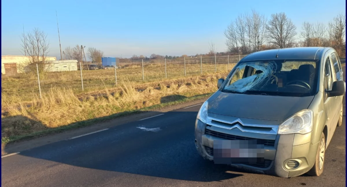 Rowerzysta w ciężkim stanie trafił do szpitala