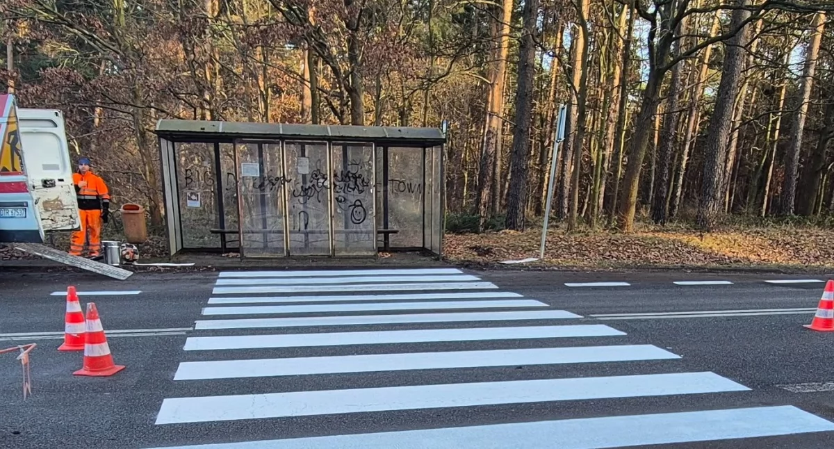 Nowe zebry w Żerkówku i Brzegu Dolnym