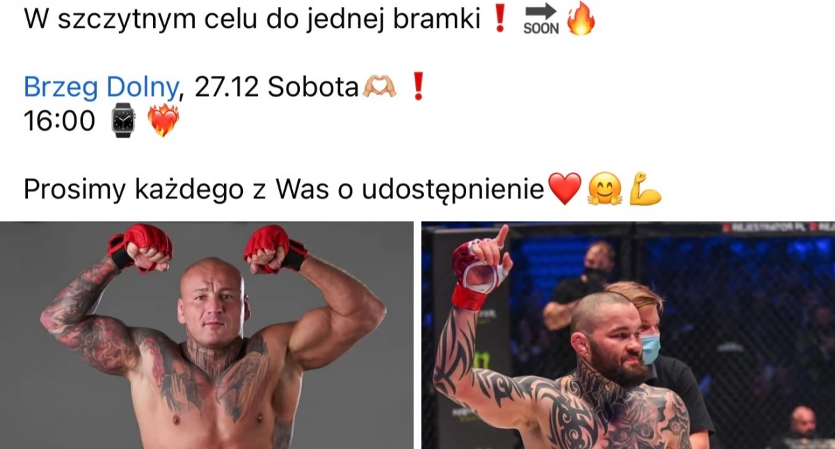 Szpilka, „Tiger