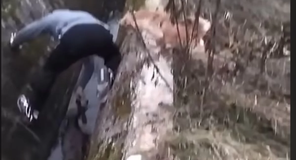 Tragedia przy kanale obok oczyszczalni w Bożeniu. Jedna sarna nie przeżyła