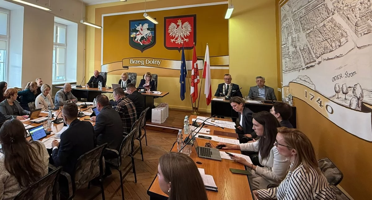 Sylwester bez huku? Rada Miejska w Brzegu Dolnym chce formalnie zająć się tematem fajerwerków