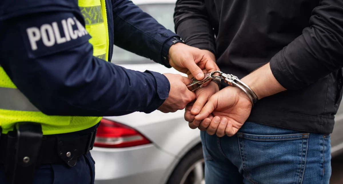 Nowe prawo drogowe od 29 stycznia. Więzienie i dożywotni zakaz prowadzenia dla piratów drogowych