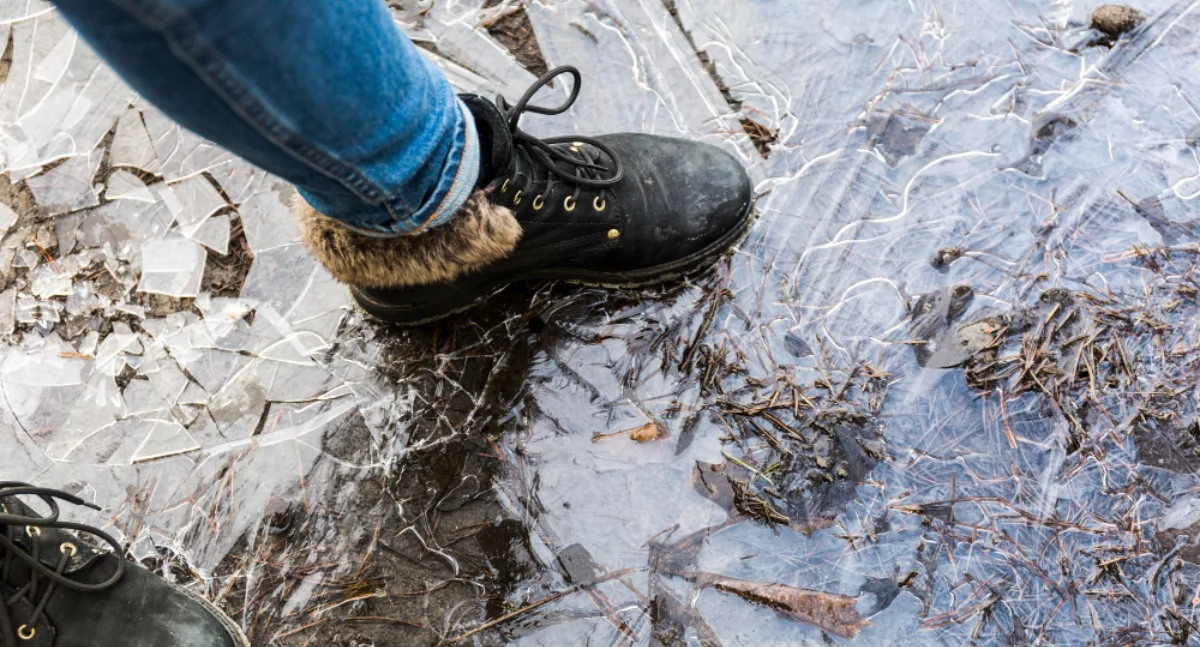 Ostrzeżenie meteorologiczne dla powiatu wołowskiego. Prognozowane opady marznące i gołoledź