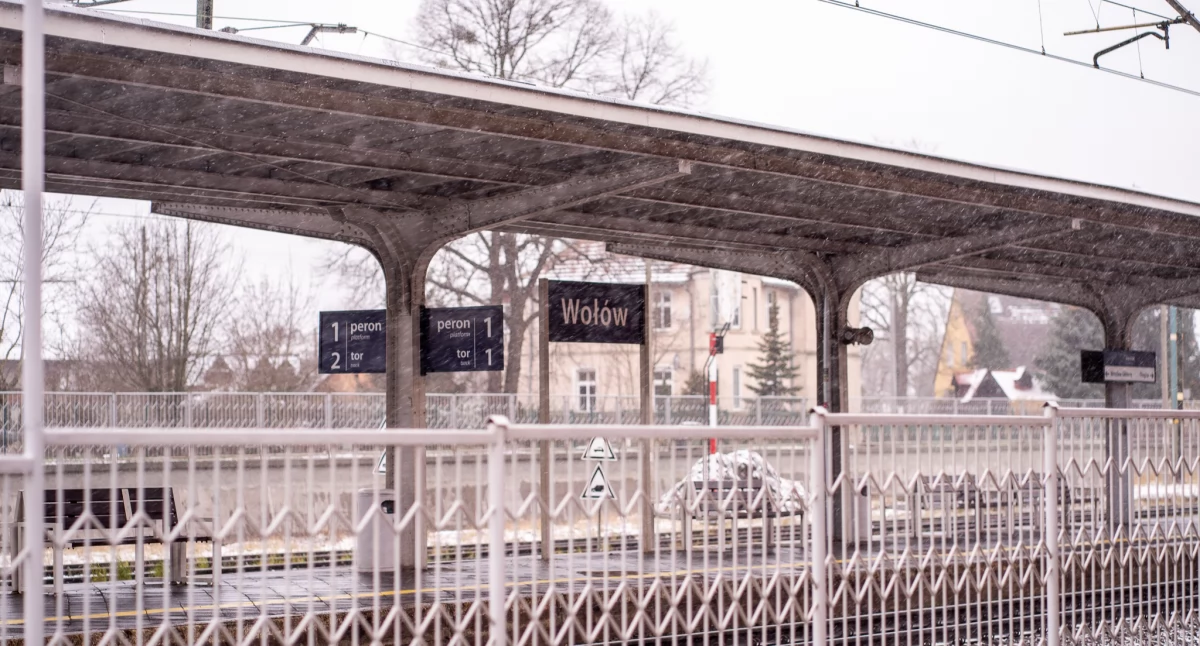 Paraliż na kolei. Oblodzona sieć trakcyjna wstrzymała ruch pociągów przez Wołów i Brzeg Dolny