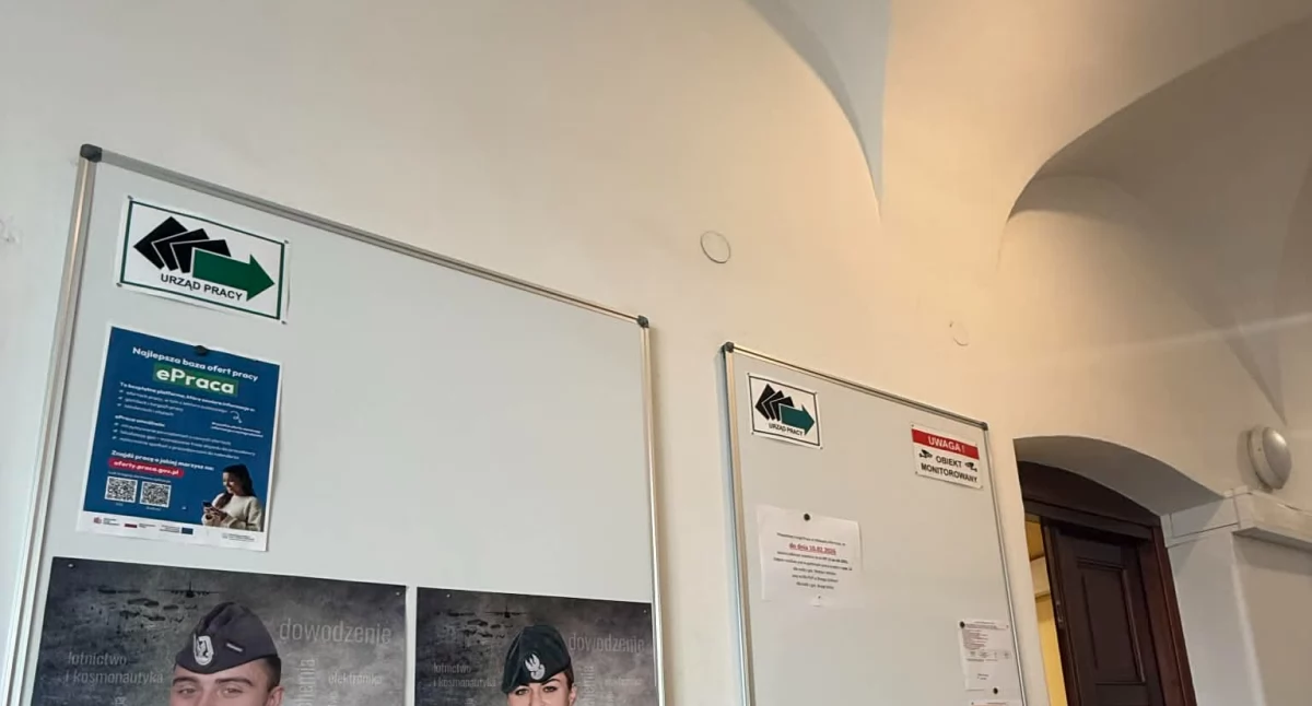 Oferty pracy w powiecie wołowskim. Sprawdź aktualne propozycje zatrudnienia