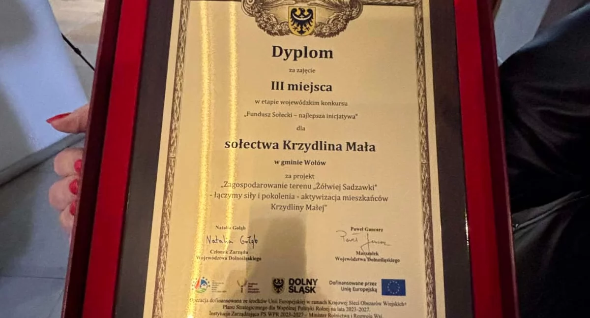 Krzydlina Mała z nagrodą za Żółwią Sadzawkę. Projekt mieszkańców zdobył III miejsce