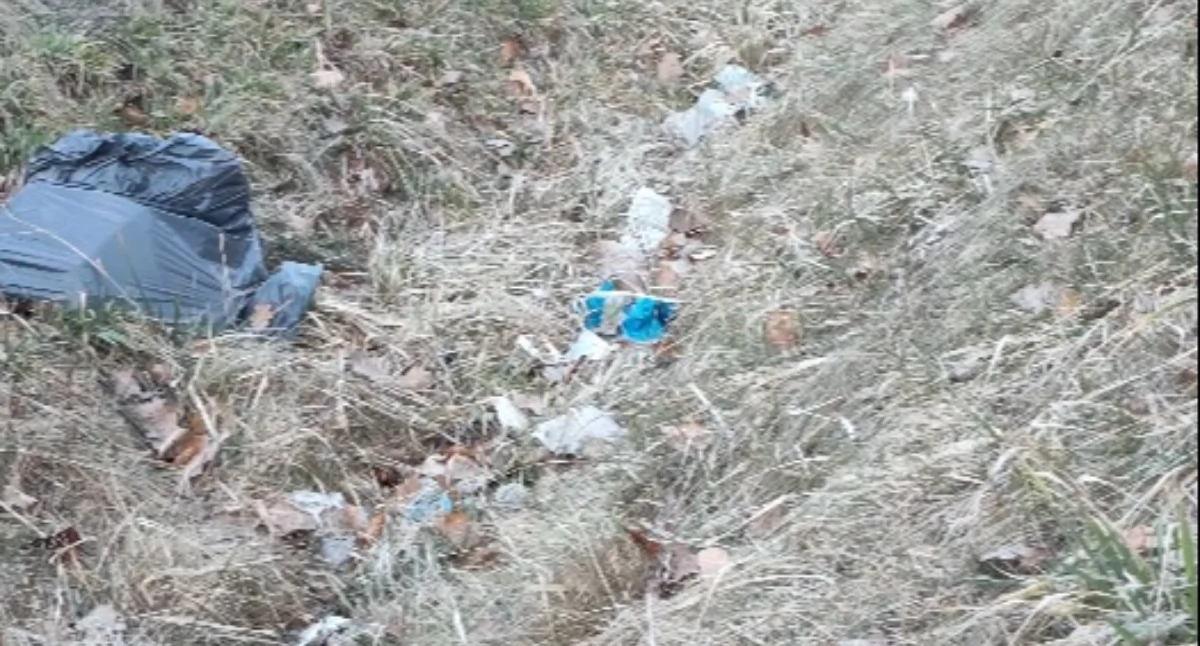 Krajobraz z odpadami w tle. Brzeg Dolny tonie w śmieciach?