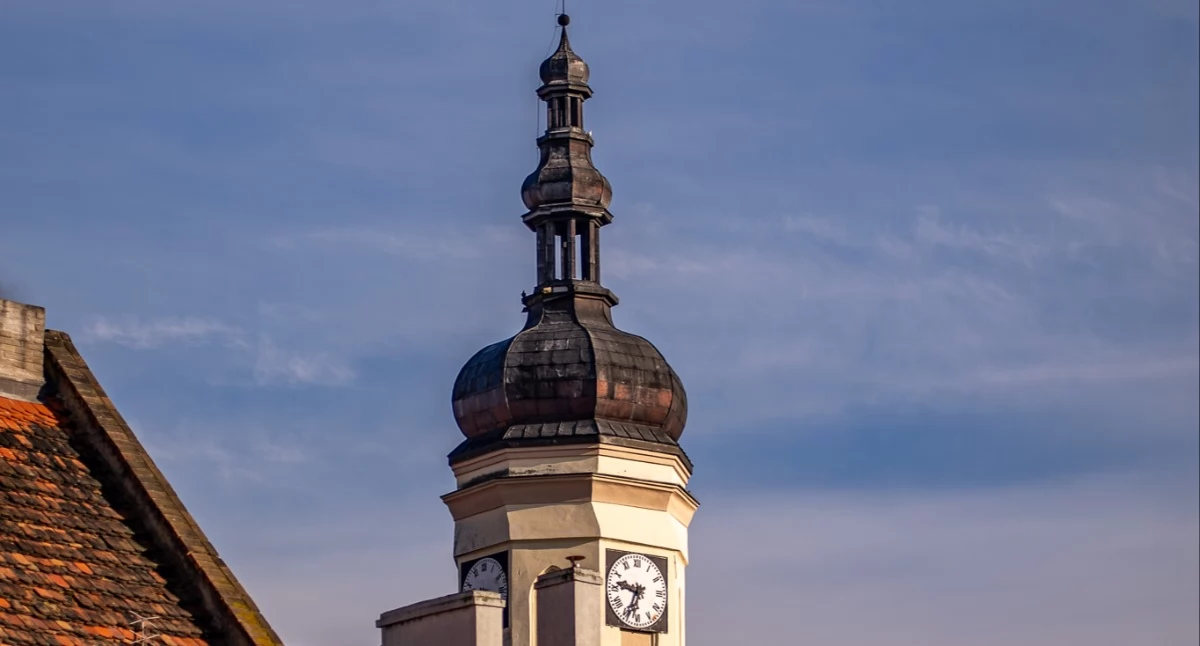 Nieruchomości do dzierżawy w Gminie Wołów. Sprawdź nowe wykazy burmistrza