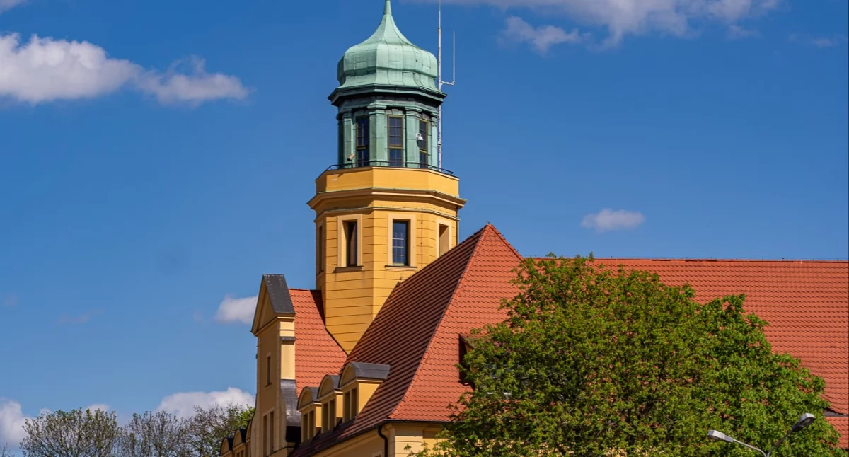 Zasiłek dla bezrobotnych 2026. Ile wynosi i kto może go dostać w powiecie wołowskim?