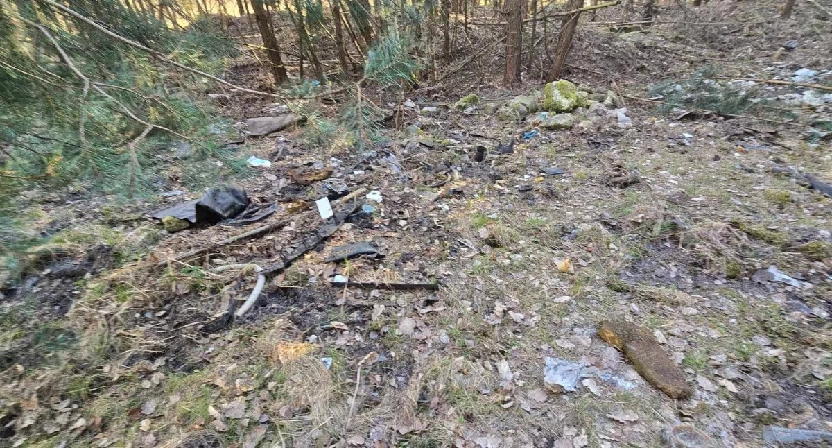 Śmieci w lesie pod Radeczem. Czy sąsiedztwo starego wysypiska zachęca do zaśmiecania natury?