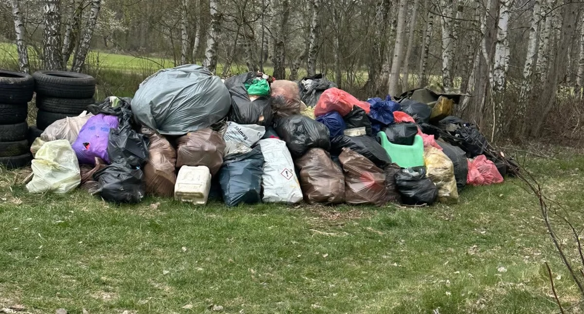 Śmieci, psy i niepokój mieszkańców. Ale śmieci mają być zabrane 