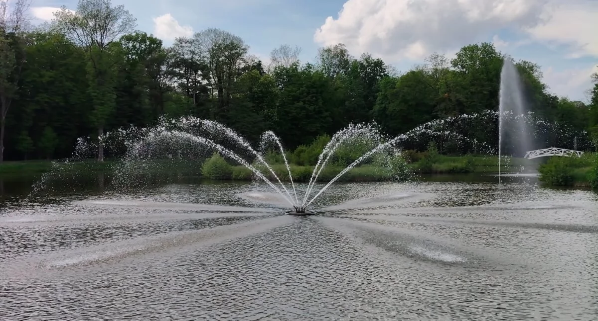 Ruiny dawnego mauzoleum i drzewa pamiętające arystokrację. Park w Brzegu Dolnym warto odkryć na nowo