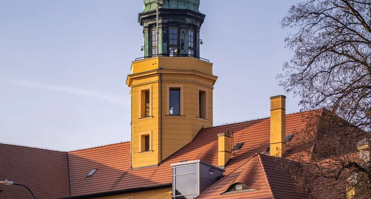 Starostwo wystawia działki. Bukowice i Mikorzyce na liście sprzedaży