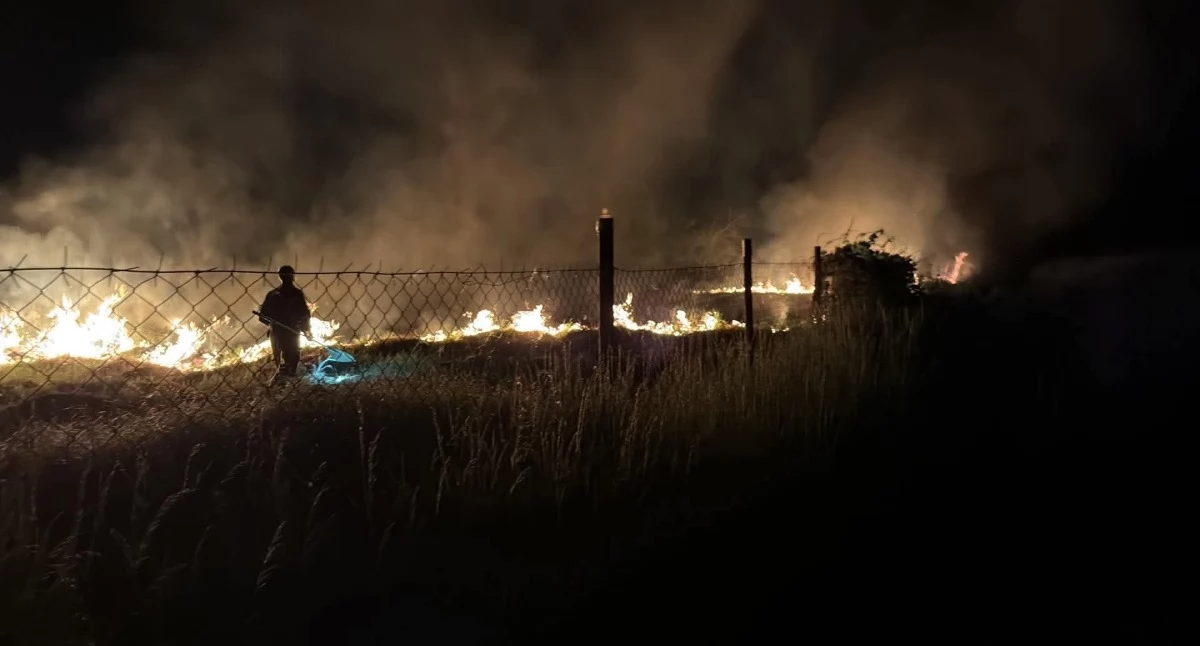 Nocny pożar na wołowskich działkach. Łuna ognia postawiła na nogi służby i mieszkańców